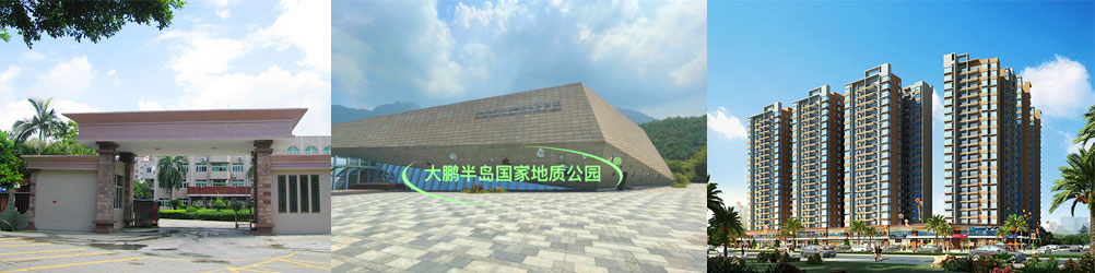 Banner图片5
