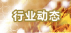行业动态